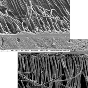 PrimeBond7 – Bild 3